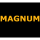 Magnum's First Date Model